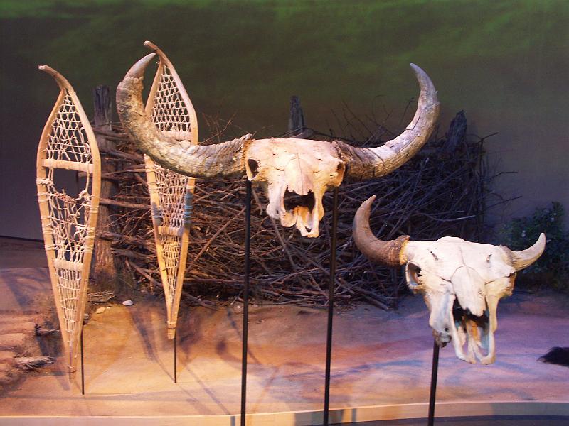 Musée Canadien des Civilisations