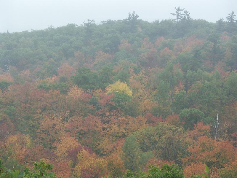 Parc de la Gatineau