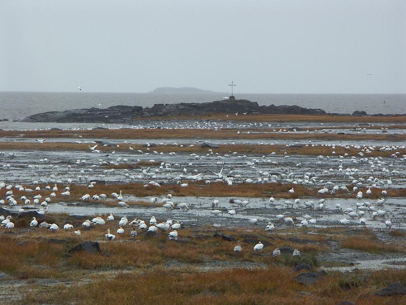 Bas Saint-Laurent