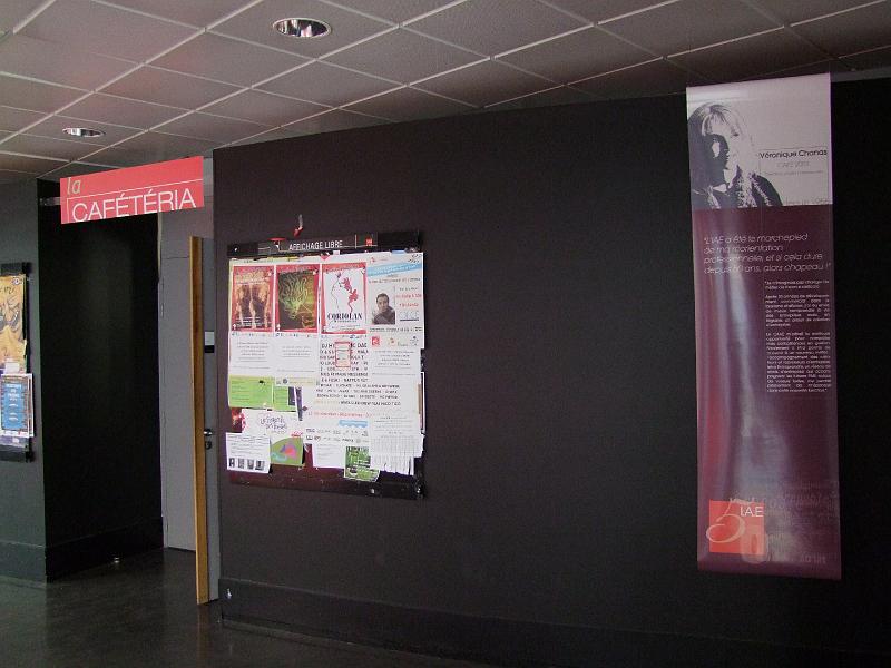 Saint-Martin d'Hères, IAE de Grenoble, Véronique Chanas