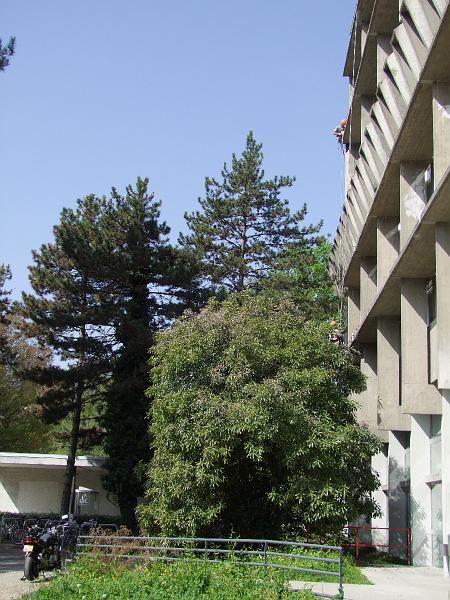 Saint-Martin d'Hères, ESA (Ecole Supérieure des Affaires)