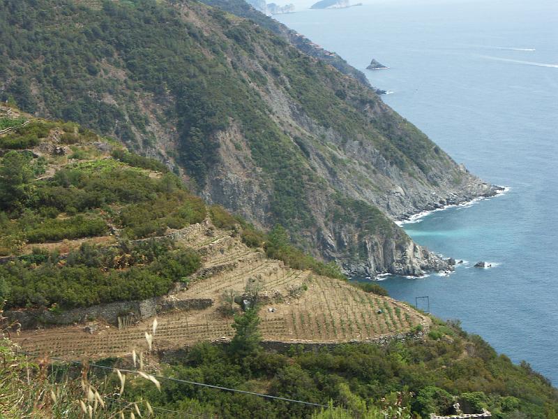 Route du Cinque Terre
