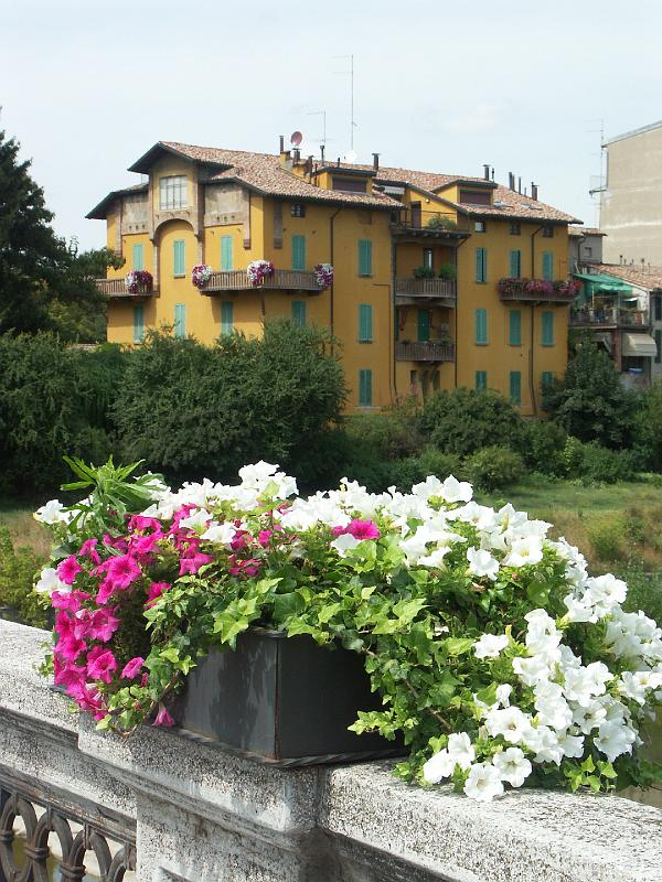 Parma