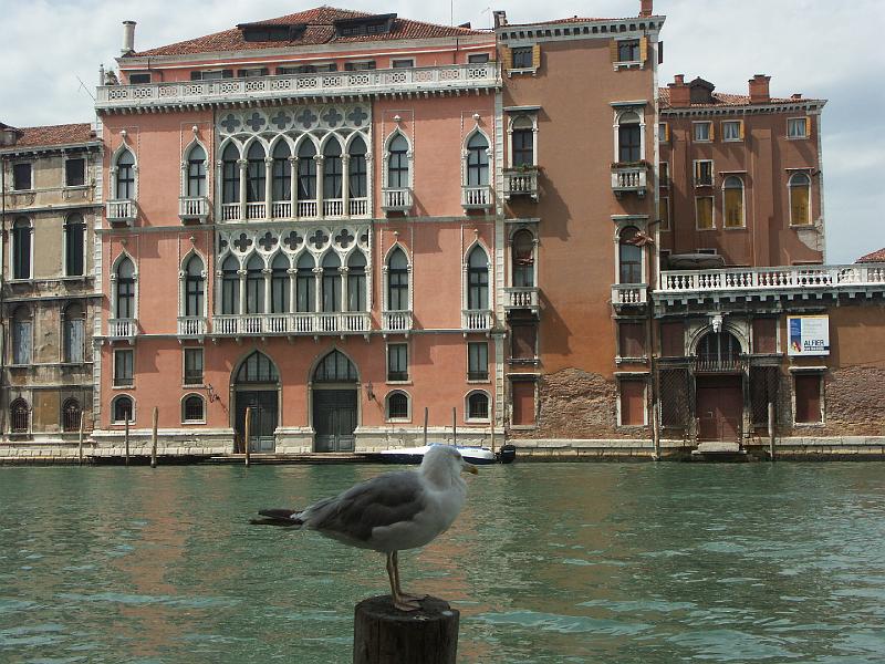 Venezia