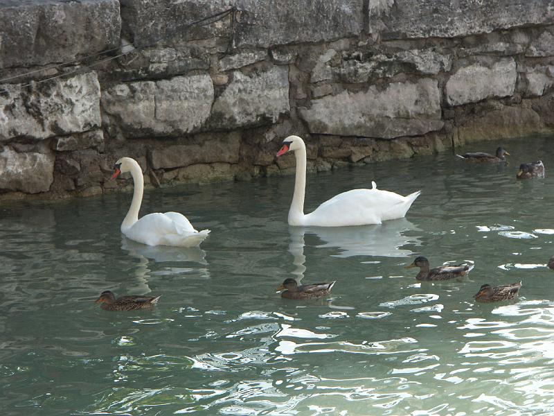 Lago di Garda, Punta di San Vigilio