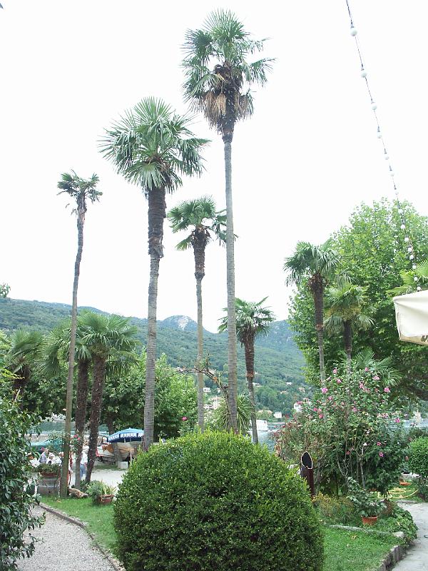 Lago Maggiore, Isola dei Pescatori