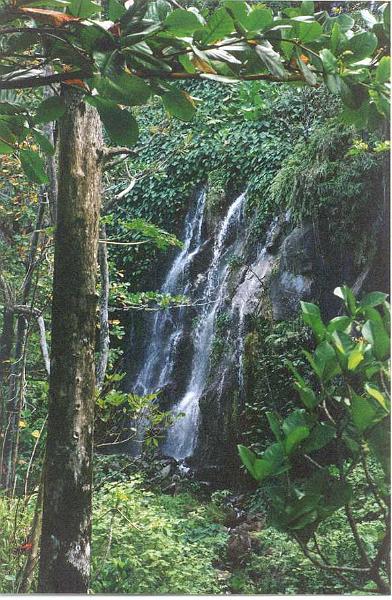 La Réunion, Anse des Cascades