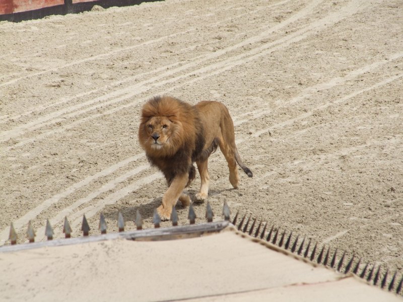 Le Puy du Fou