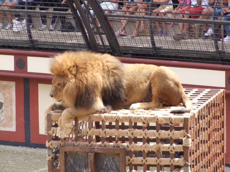 Le Puy du Fou