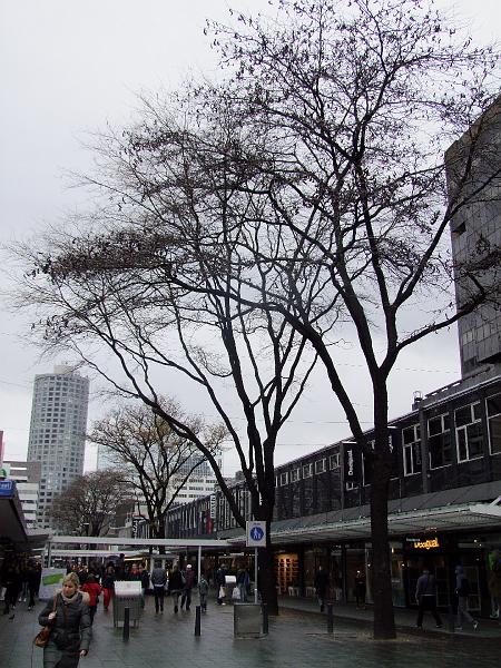 Rotterdam, Lijnbaan