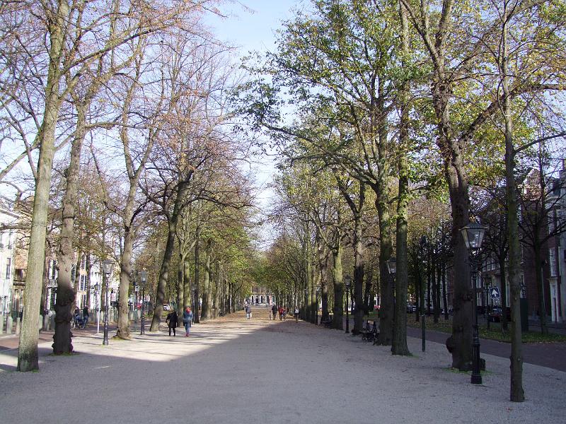 La Haye, Lange Voorhout