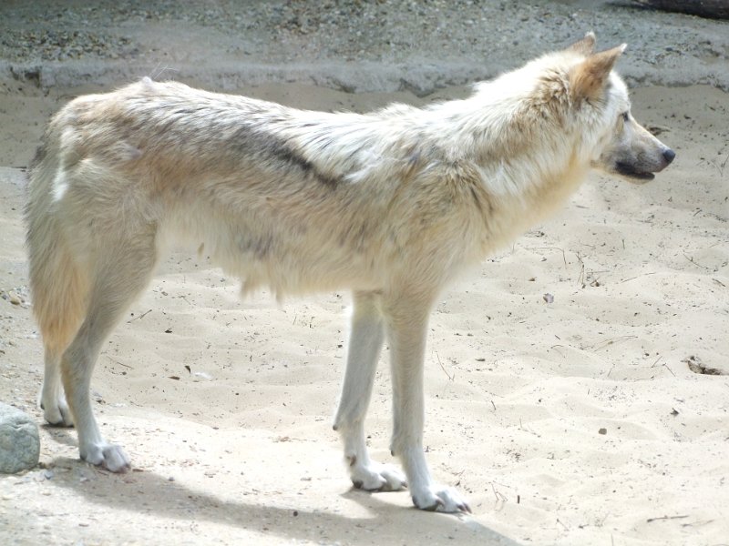 Zoo de La Palmyre