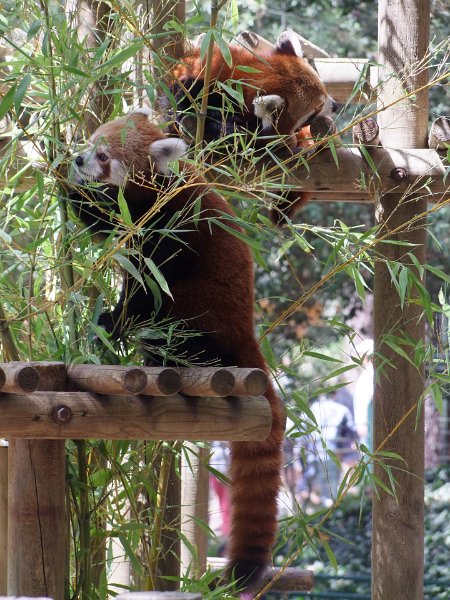 Zoo de La Palmyre
