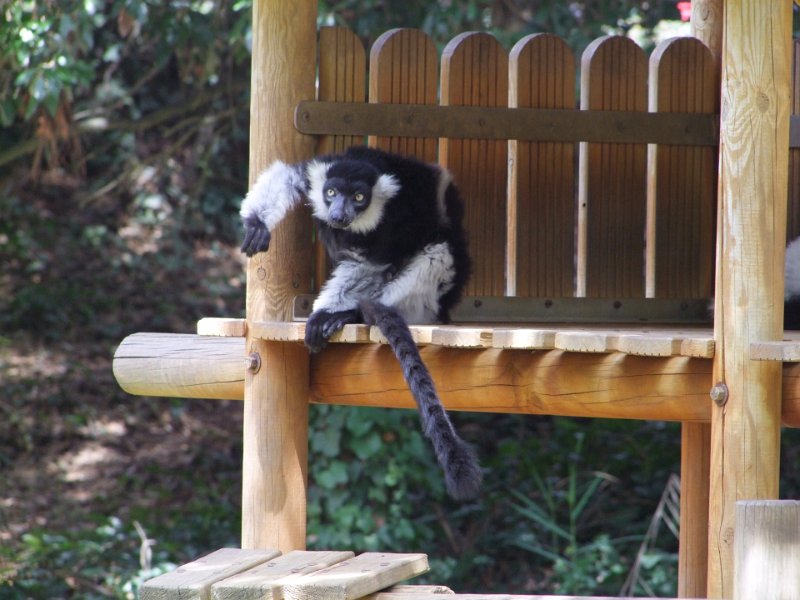 Zoo de La Palmyre