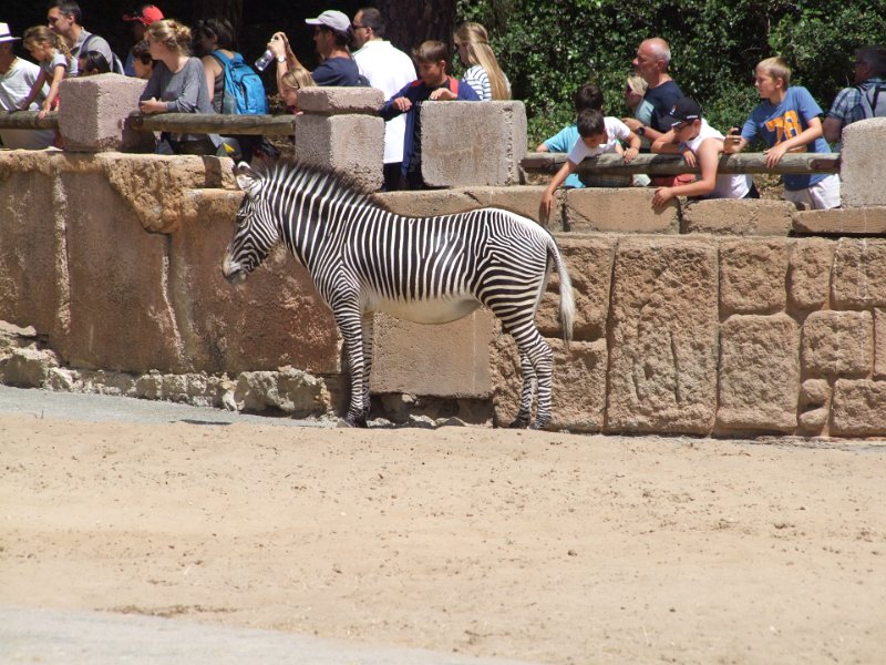 Zoo de La Palmyre