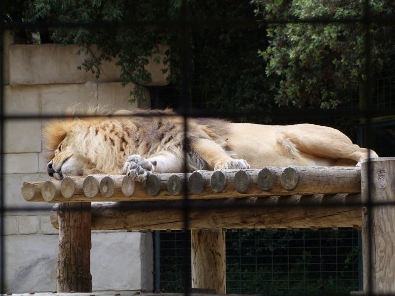 Zoo de La Palmyre