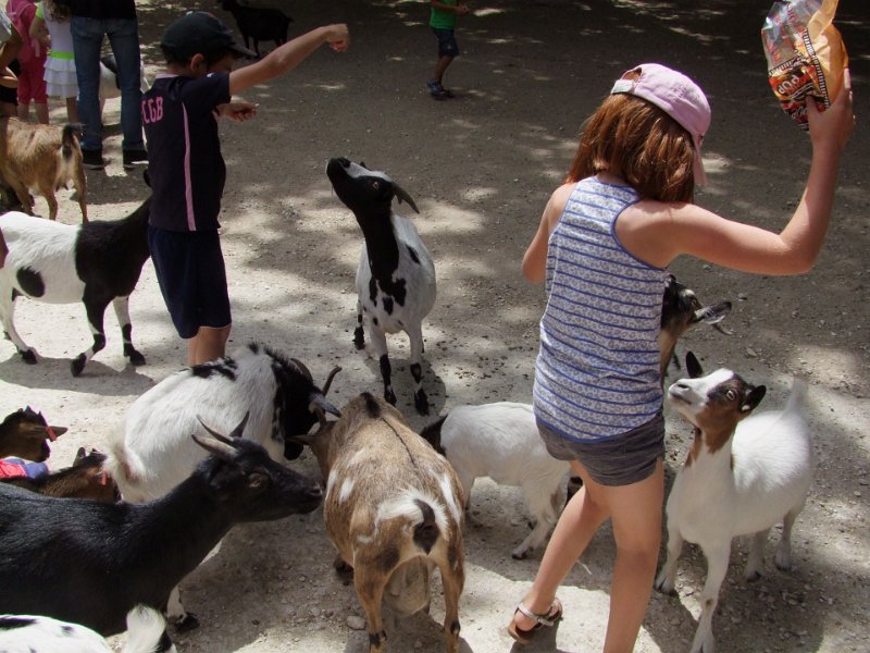 Zoo de La Palmyre