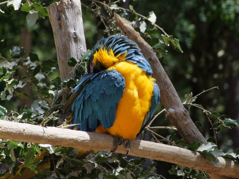 Zoo de La Palmyre