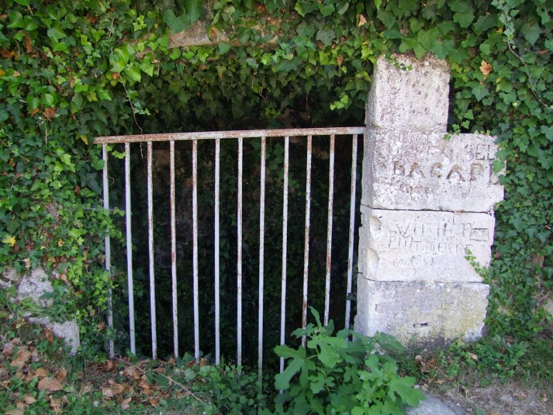 Saintes, Amphithéâtre gallo-romain