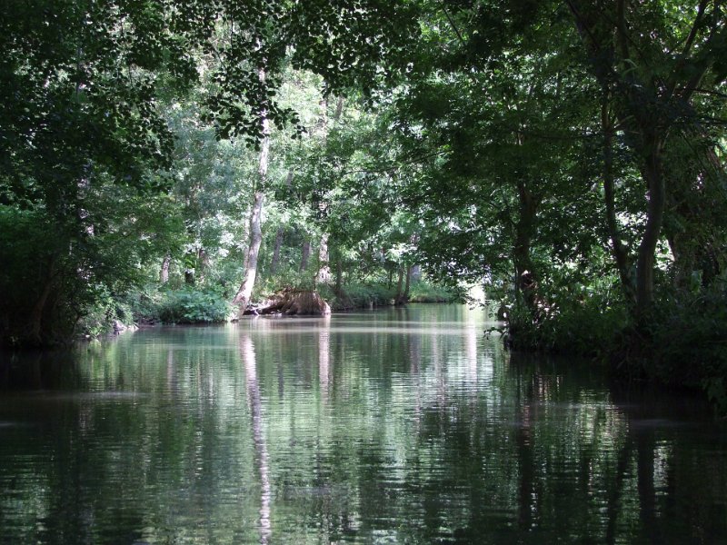Le Marais Poitevin