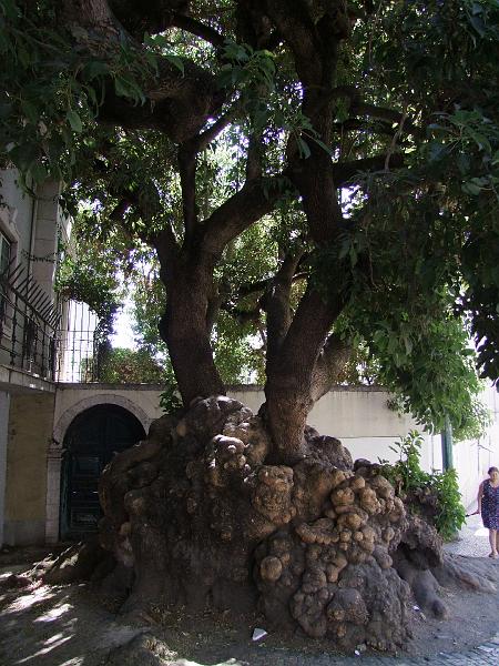Lisbonne, Rua do Limoeiro