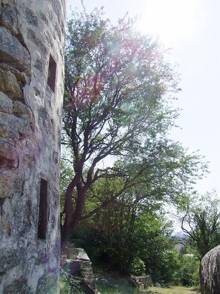 Orange, Ruines du château des princes d'Orange
