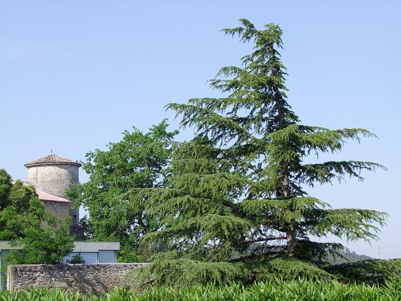 Barbentane
