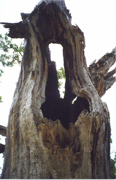 Massif de la Sainte-Baume