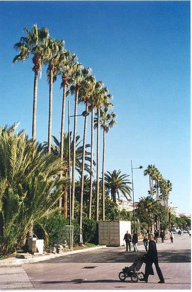 Cannes, Boulevard de la Croisette