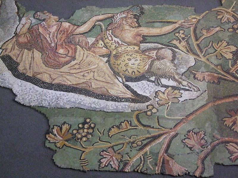 Saint-Romain-en-Gal, Musée