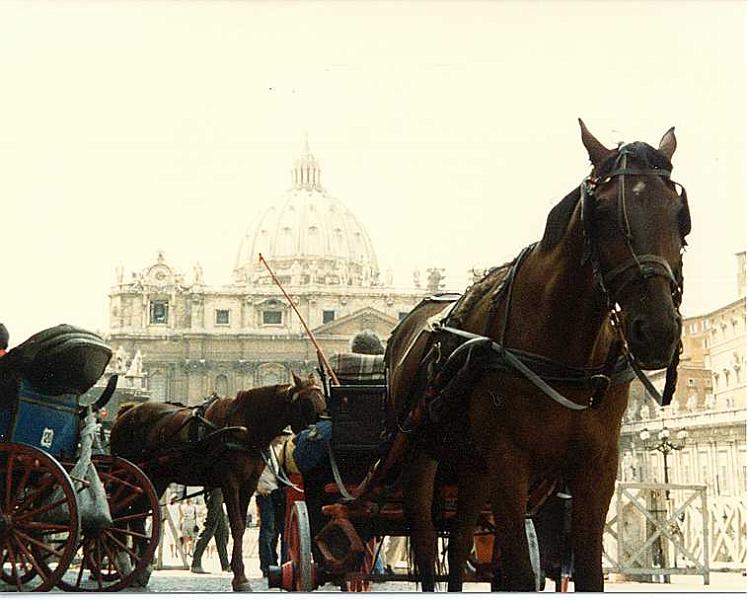 Vaticano