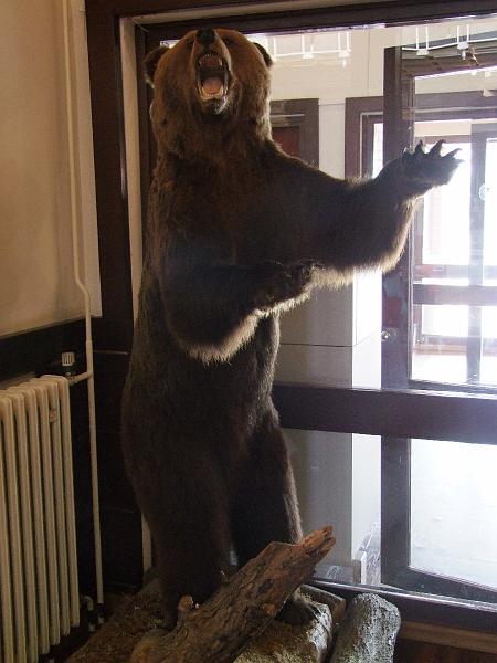 Iaroslavl, Restaurant